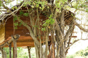 Habarana Wildwood Treehouse